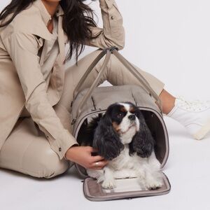 Maxbone Global Citizen Pet Carrier